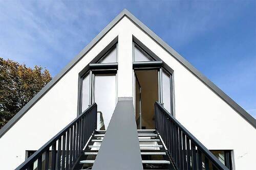 Dachspitz - 