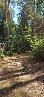 IMG-20250919-WA0017.jpg - 