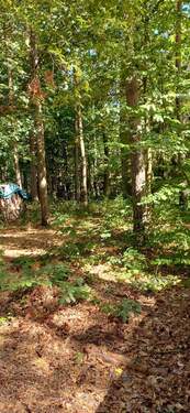 IMG-20250919-WA0016.jpg - 