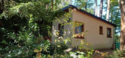 IMG-20250919-WA0003.jpg - 