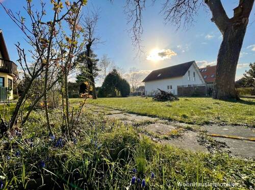 Frühblüher - 5 Zimmer Einfamilienhaus zum Kaufen in Berlin