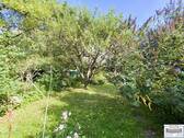 Blick in den Kleingarten - 