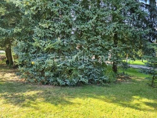 Bild 18 - 