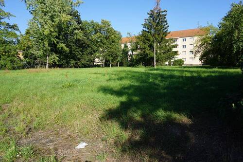 Bild 11 - 