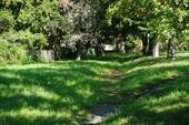 Bild 16 - 