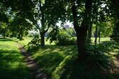 Bild 21 - 