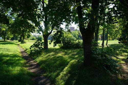 Bild 21 - 