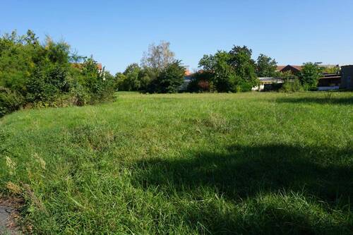 Bild 29 - 