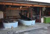 Fischzuchtanlage - 