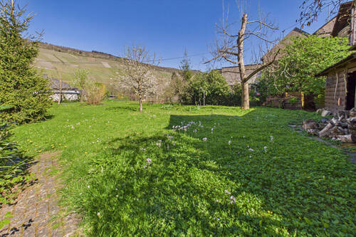 Garten - Reihenendhaus mit 206,80 m&sup2; in Bernkastel-Kues / Wehlen zum Kaufen