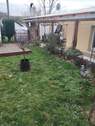  Gartenbereich - 