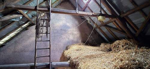 Alte Scheune, Ausbaureserve - 