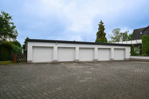 DSC_0833 - 