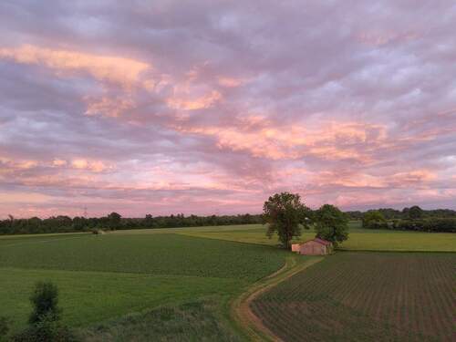 Außblick Wohnzimmer - Sanierte 2-Zimmer DG-Wohnung in LangweidStettenhofen - Stellplatz, Keller, EBK - von privat