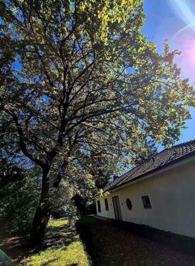 Teilansicht Grundstück - Doppelhaushälfte mit 138,50 m&sup2; in Fürth zum Kaufen