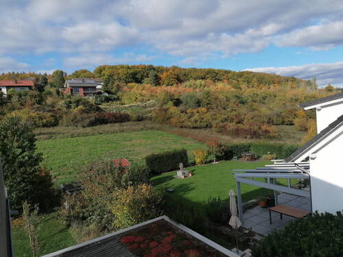 Blick Richtung Waldrand - 