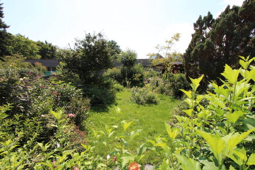 Garten - 