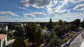 IMG_8307 - 