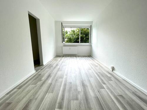 Zimmer - 