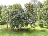 Ausblick zur Gartenseite - 