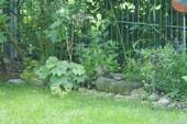 Gartenausschnitt - 