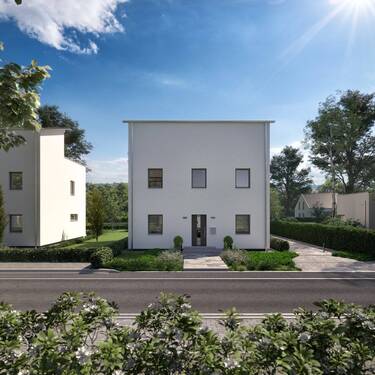 LifeStyle 20.03 S4 - 