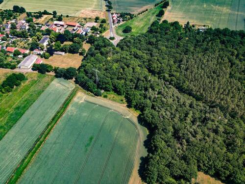Drohne - 