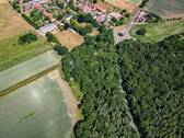 Drohne - 