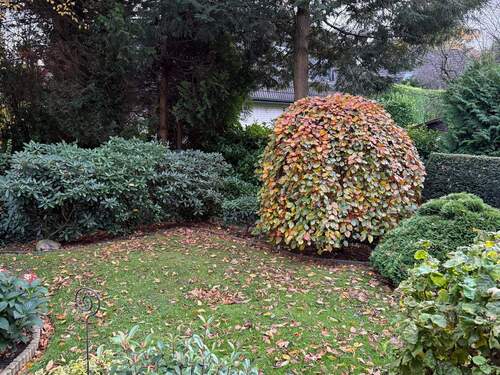 Schöner Garten.jpeg - 