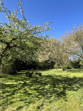 noch ein letzter Blick! - 