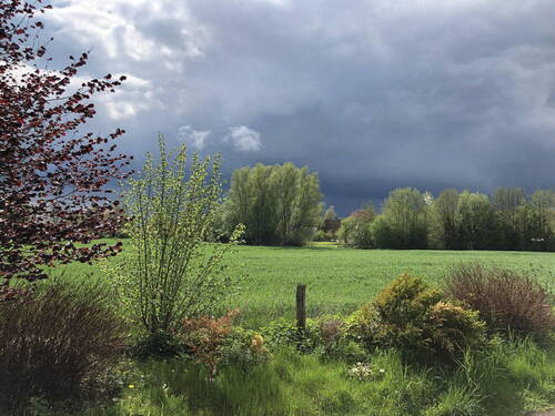 Wetter aus Sicht Wintergarten - 