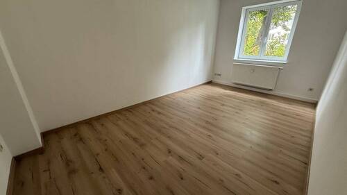 Zimmer1 - 