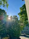 IMG_8547 - 