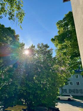 IMG_8547 - 
