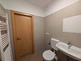 Badezimmer - Etagenwohnung mit 35,80 m² in Chemnitz zur Miete
