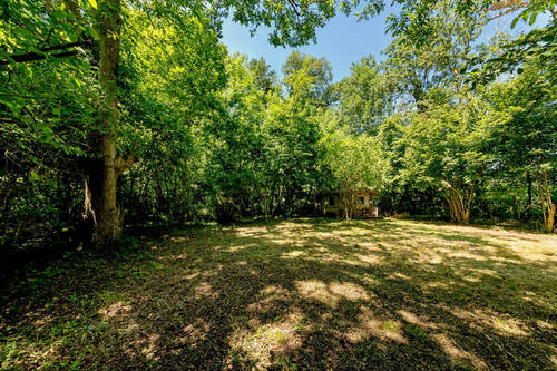 Garten Ostseite - 