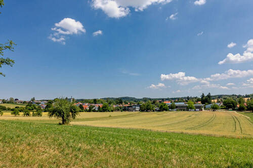 Blick Umgebung - 