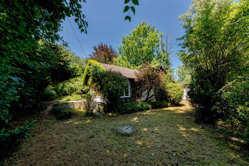 Altbestand - 