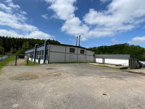 Hallen-Vorplatz mit Lkw-Zufahrt - 