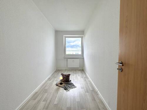 Zimmer - 