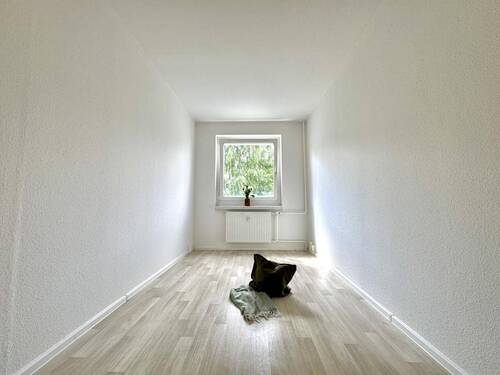 Zimmer - 
