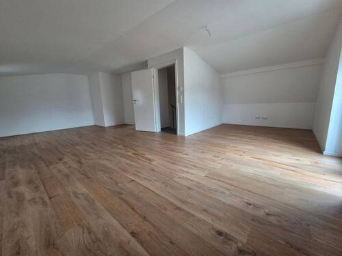 Zimmer DG - 