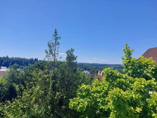 Ausblick vom Balkon - Für Gartenliebhaber: Haus mit großem Garten und Anbaumöglichkeit!