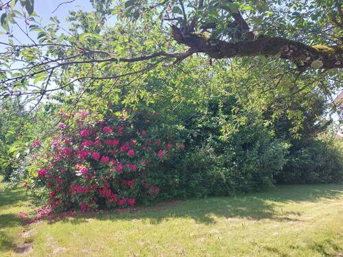 Garten - 