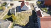 26373337-ff64-4270-b819-9a7e5e3018ec-1939051606 - 4 Zimmer Einfamilienhaus zum Kaufen in Vechelde