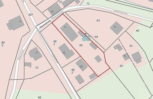 Auszug Liegenschaftskataster Caputh.jpg - 