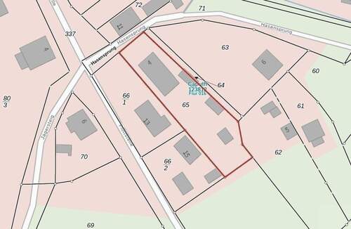 Auszug Liegenschaftskataster Caputh.jpg - 