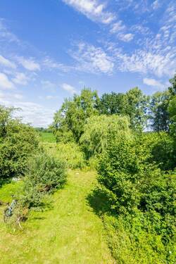 Weitläufiger Garten - 