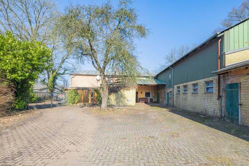 Hof mit Ansicht Dachterrasse - Mehrfamilienhaus, Wohnhaus mit 300,00 m&sup2; in Erfde zum Kaufen