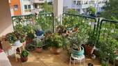 Balkon - 